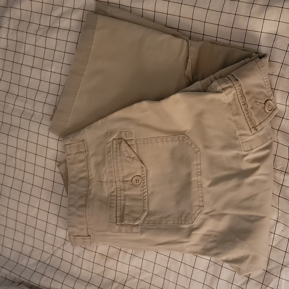 Summer/Spring Capris - image 1